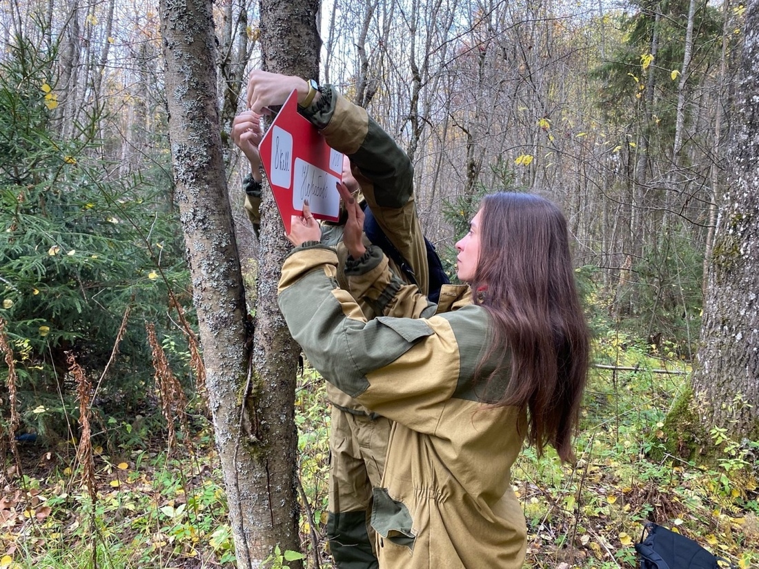 Студенты Вологодской ГМХА проверили «Маячки спасения», установленные в лесах