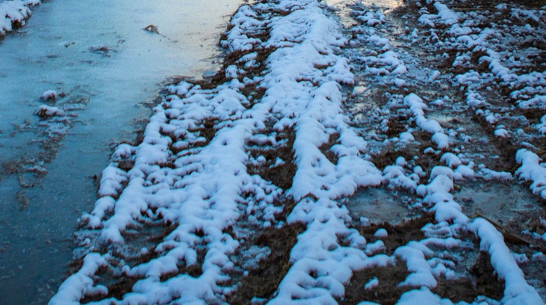Мокрый снег и гололедица ожидаются в Вологодской области