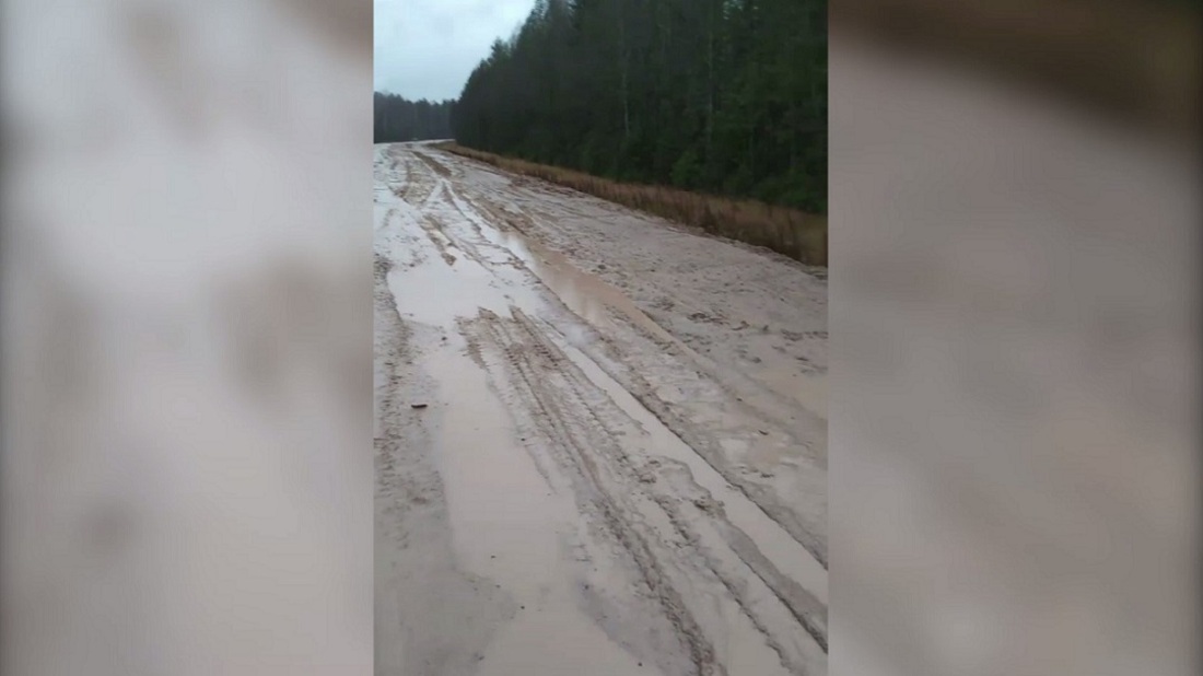 Жители Нюксенского района возмущены состоянием одной из сельских дорог
