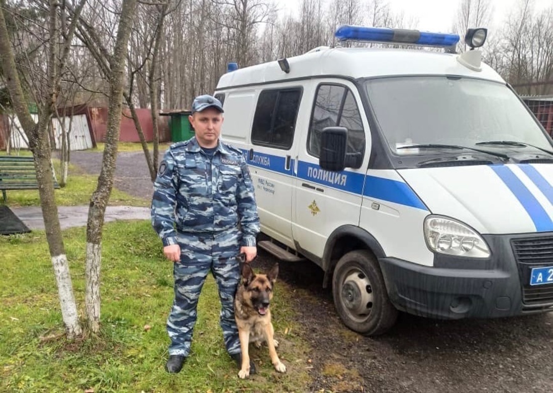 Пропавшего 11-летнего мальчика нашли в Череповце с помощью служебной собаки