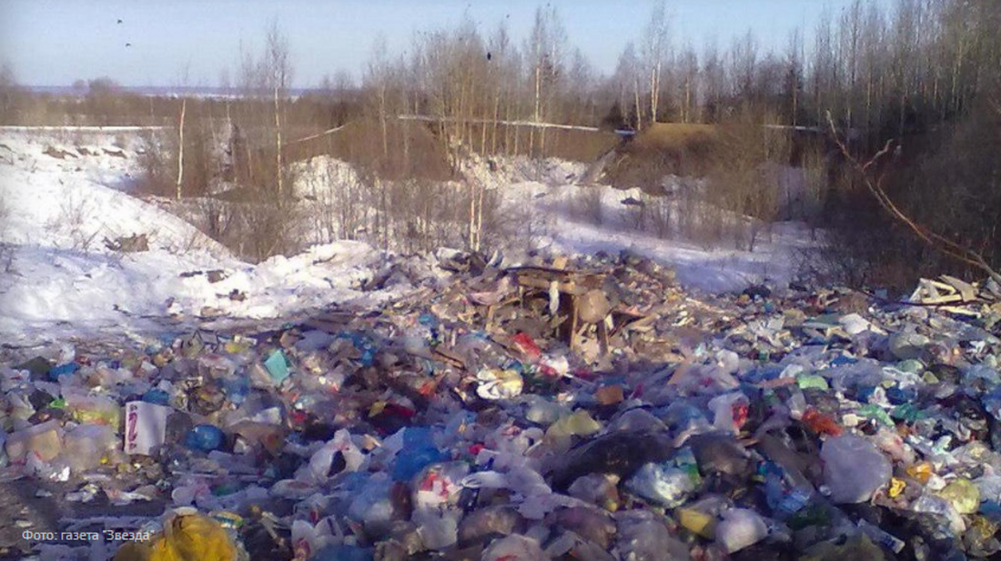 Неизвестные устроили незаконный мусорный полигон в Шекснинском районе
