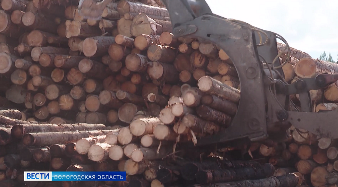 Вологодским лесопромышленникам будет доступна отсрочка по выполнению некоторых обязательств