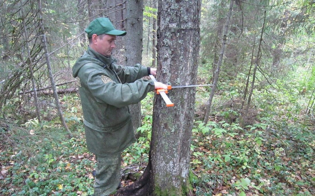 Современные измерительные приборы для лесной отрасли будут производить в Вологде