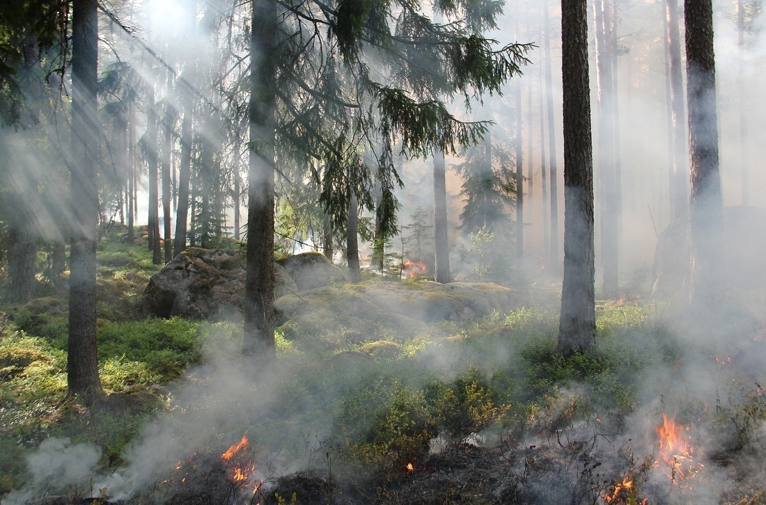 Специалисты озвучили сроки начала пожароопасного сезона в вологодских районах