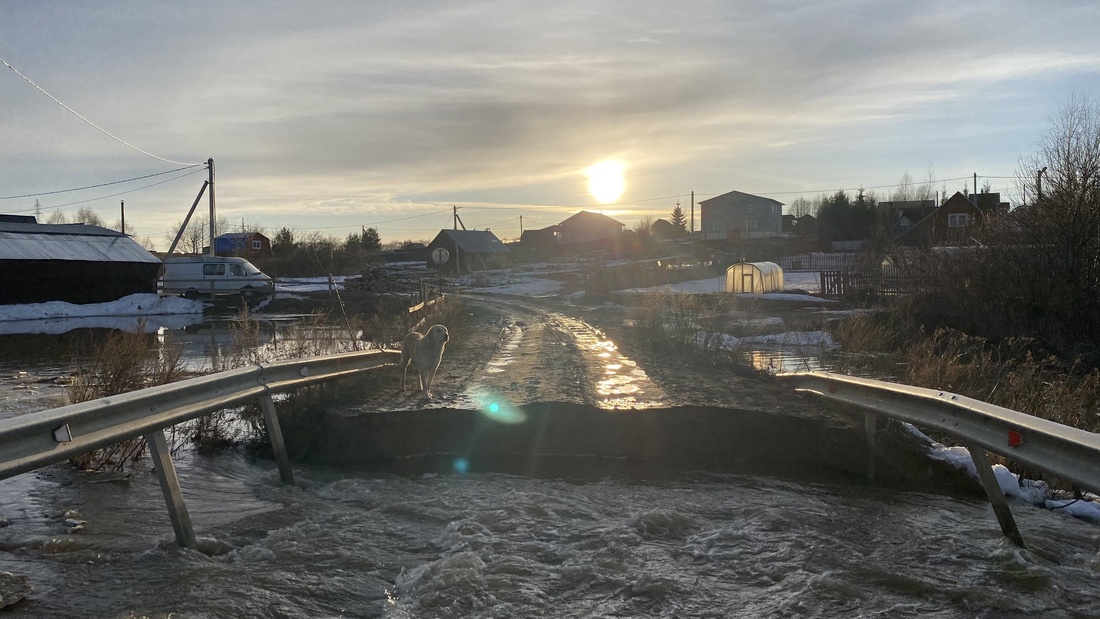 Начало половодья: в Вологодском районе размыло проезд через реку Шограш