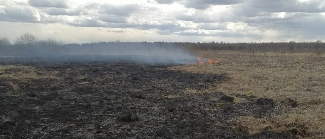 Горят сухие гектары: крупный пал травы произошёл в Грязовецком районе