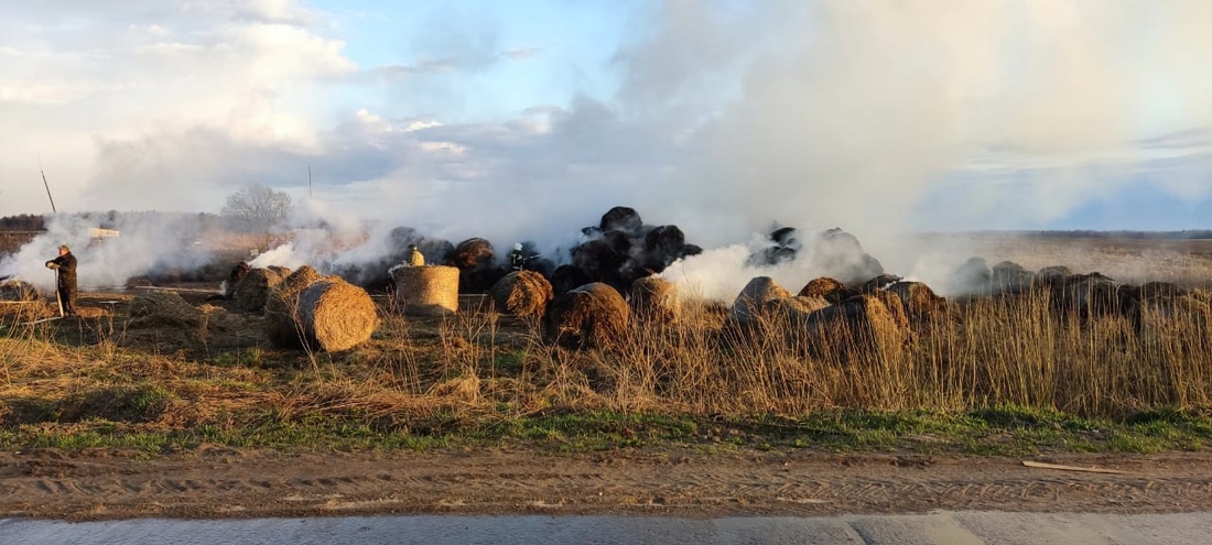 Неизвестные поджигатели уничтожили сезонный запас сена у грязовецкого колхоза