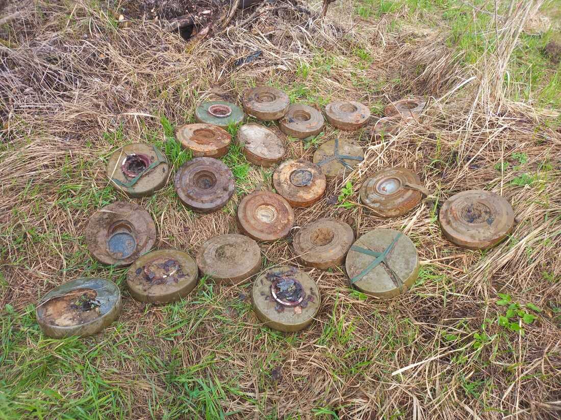 В Вологодском районе обнаружен схрон боеприпасов 