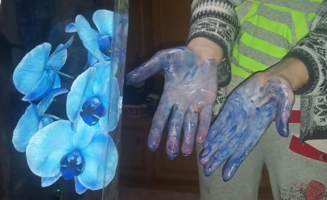 Вытегор подал в суд на недобросовестного продавца синей орхидеи