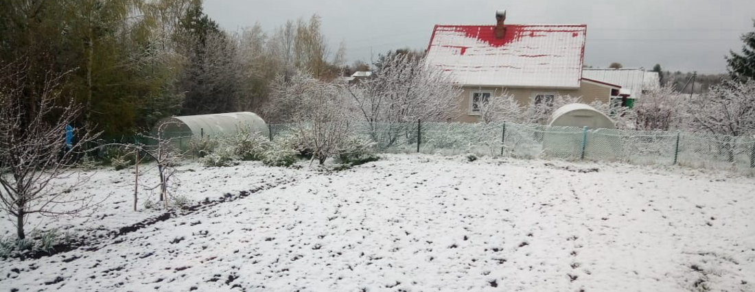 Снежный циклон добрался до центральной части Вологодской области