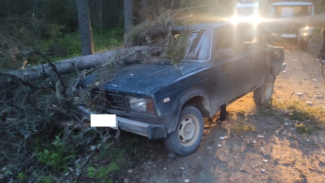 Пункт назначения: дерево насквозь «пробило» ВАЗ в Вытегорском районе, есть пострадавшие