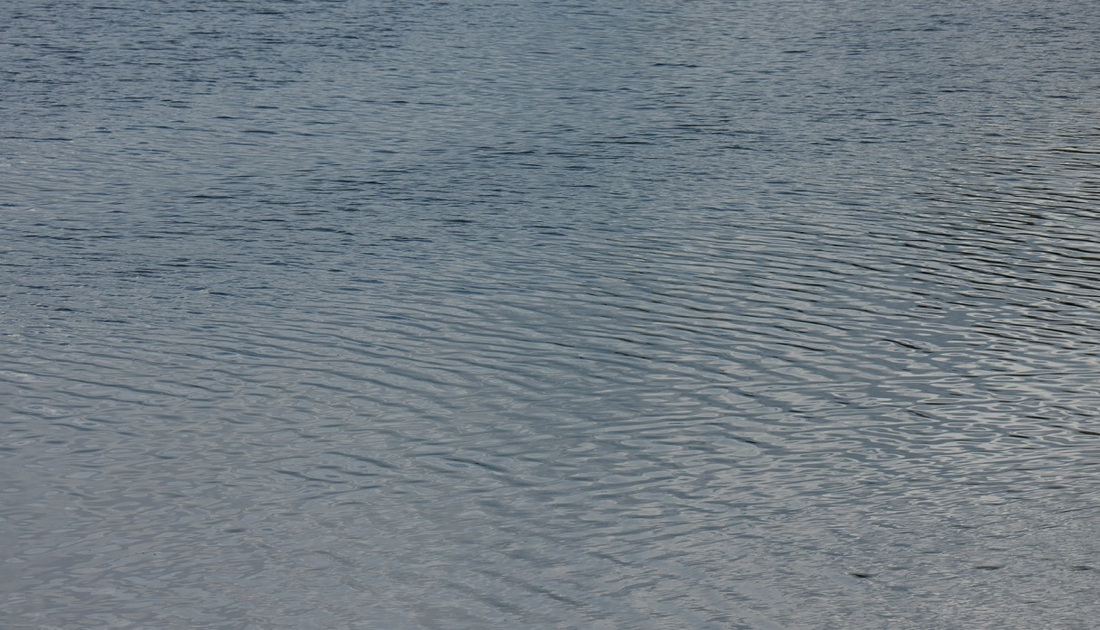 Молодой человек едва не утонул в Сиверском озере
