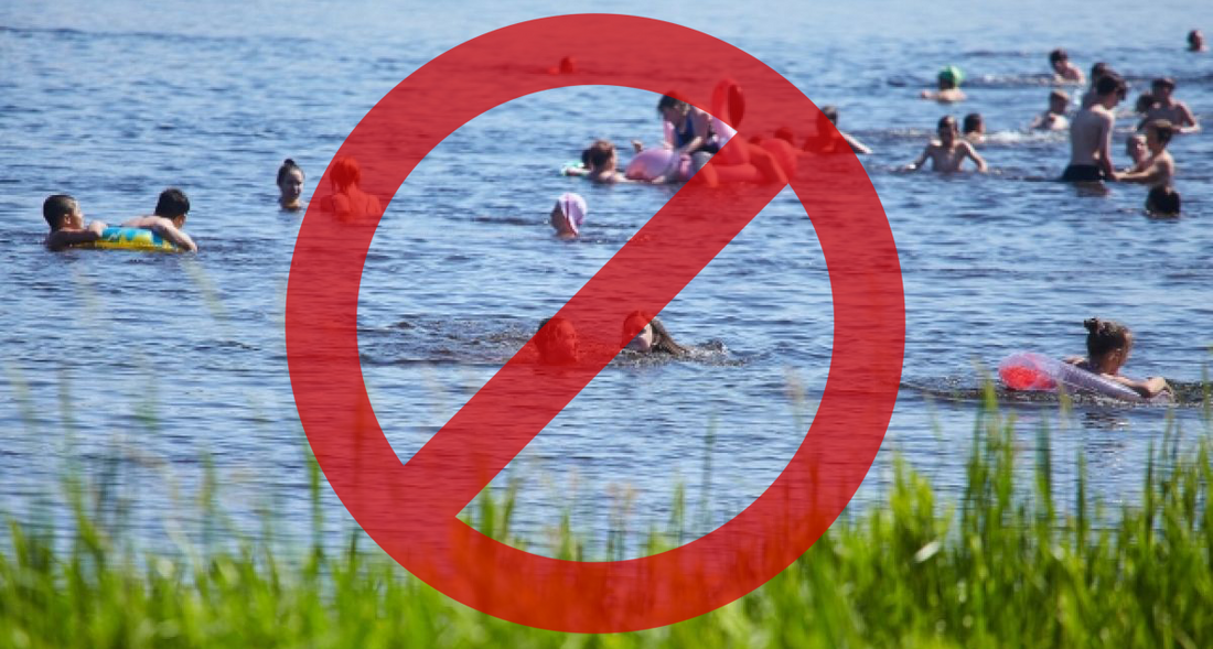 Санитарные службы запретили жителям Чагоды купаться в местной реке