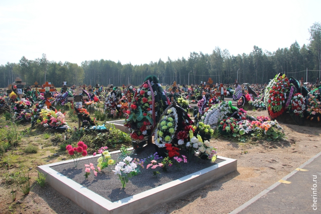 Территорию одного из кладбищ в Череповце расширят более чем на 13 тысяч мест