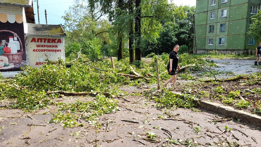 Сотни жителей вологодских сёл остались без электричества из-за сильной грозы