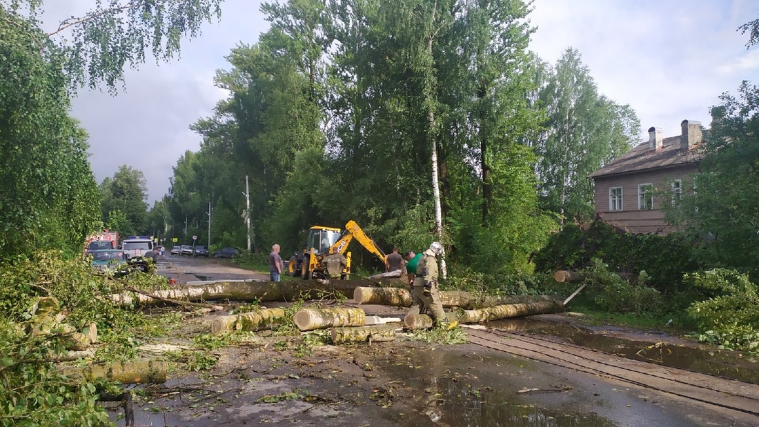 Упавшие из-за урагана деревья оставила жителей Бабаевского района без света