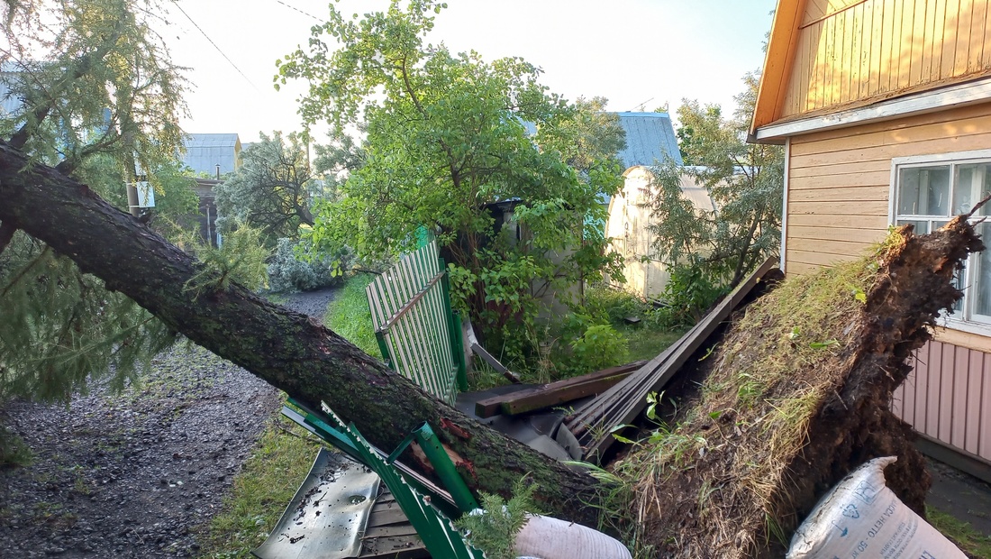 Вырванные деревья и обесточенные дома: ночной ураган обрушился на Череповец и Шексну