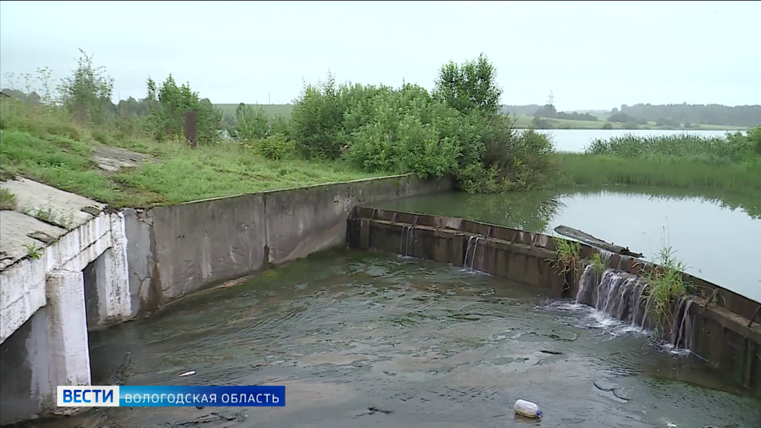 Экологи озвучили ущерб от мора рыбы на водохранилище в Вологодском районе