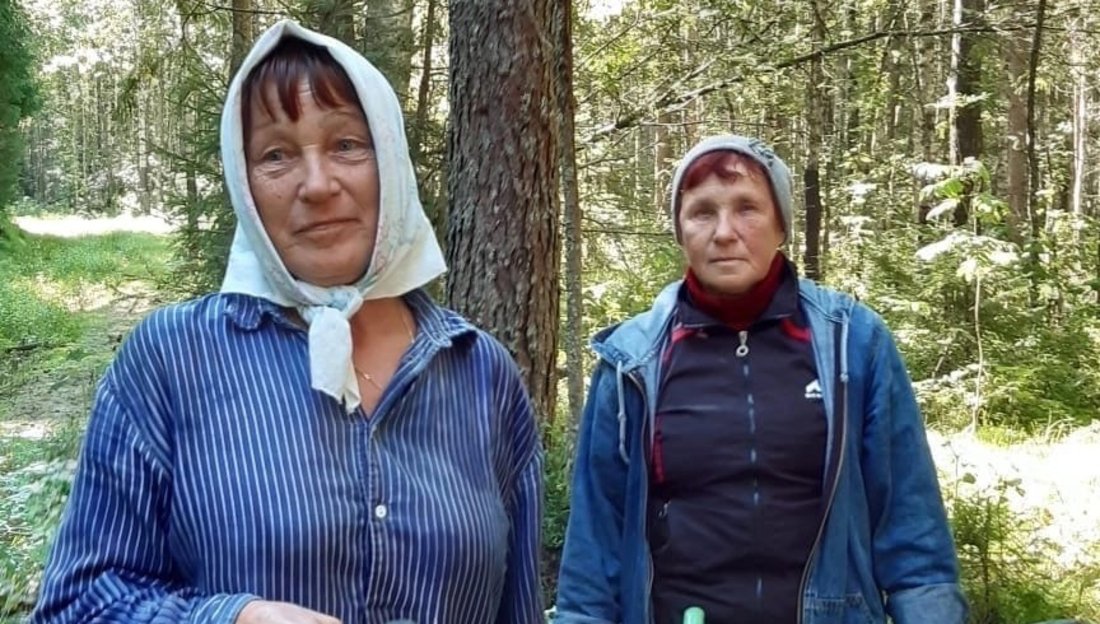 Героини своего района: устюжанки нашли и вывели из леса потерявшуюся пенсионерку