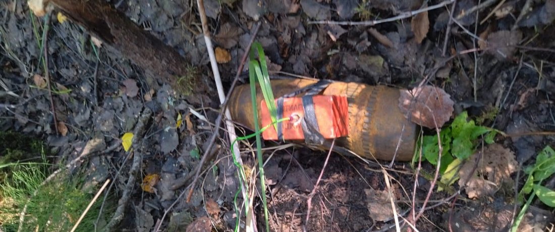 Артиллерийский снаряд нашли грибники в лесу в Вологодском районе