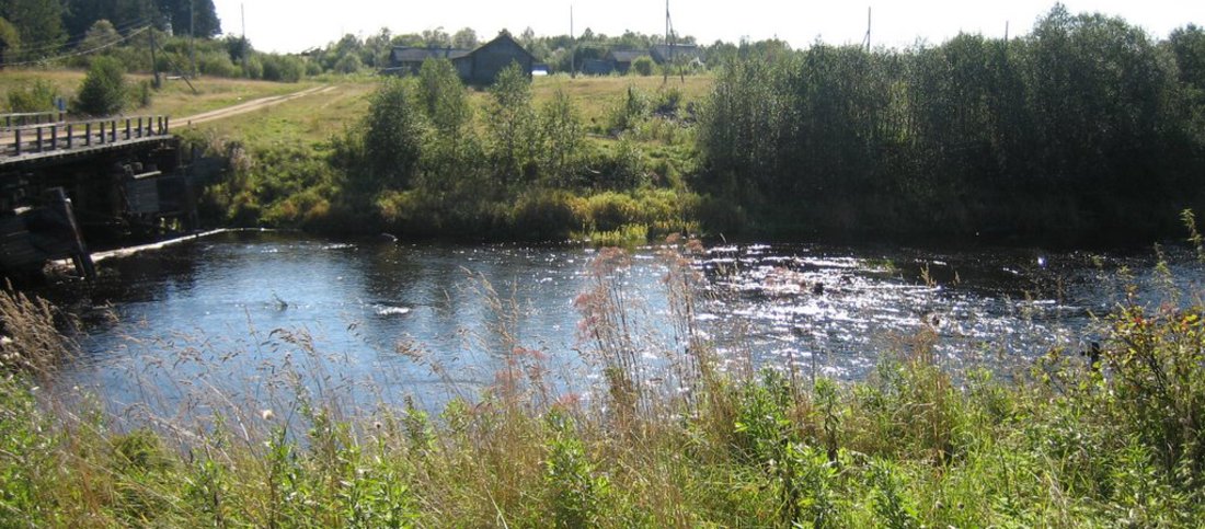 Тело пожилого мужчины найдено в одной из рек Белозерского района