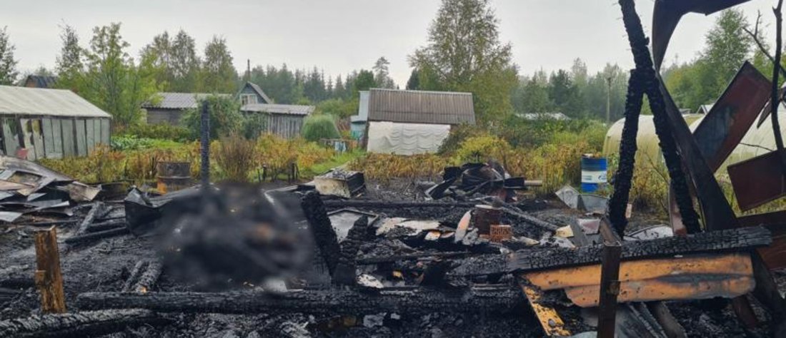 Пожилой тотьмич погиб при пожаре на собственной даче