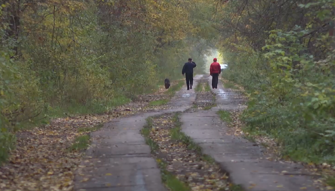 86-летний пенсионер заблудился в лесу под Харовском