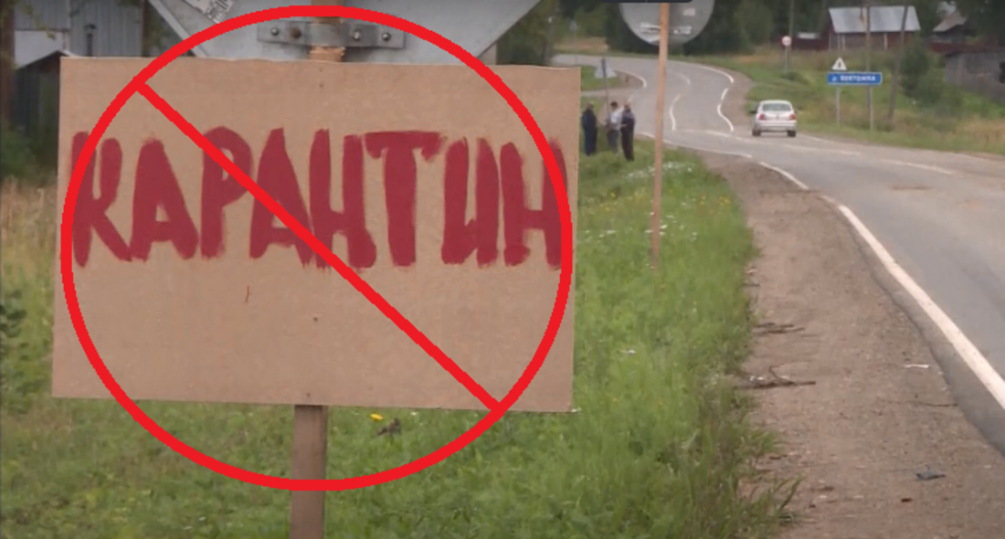 Стоп карантин: ограничения по африканской чуме сняты в Вологодской области