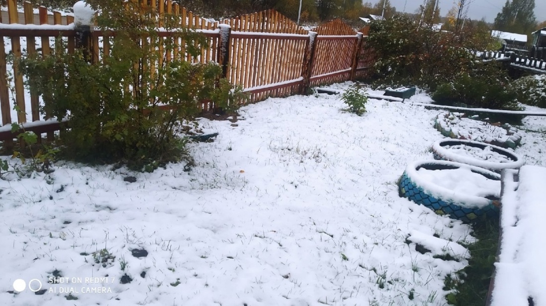 Капризы погоды: первый снег выпал в Вологодской области
