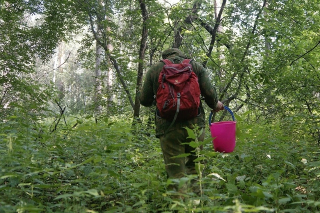 Спустя сутки: спасатели благополучно вывели из леса сокольского грибника