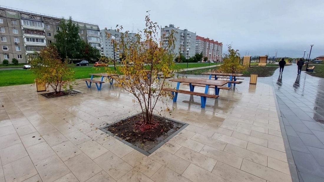 Зелёный город: 500 деревьев высадили на улицах Череповца 