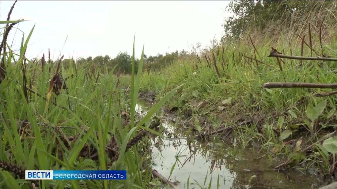 Потерявшегося в лесу пенсионера нашли в Бабушкинском районе