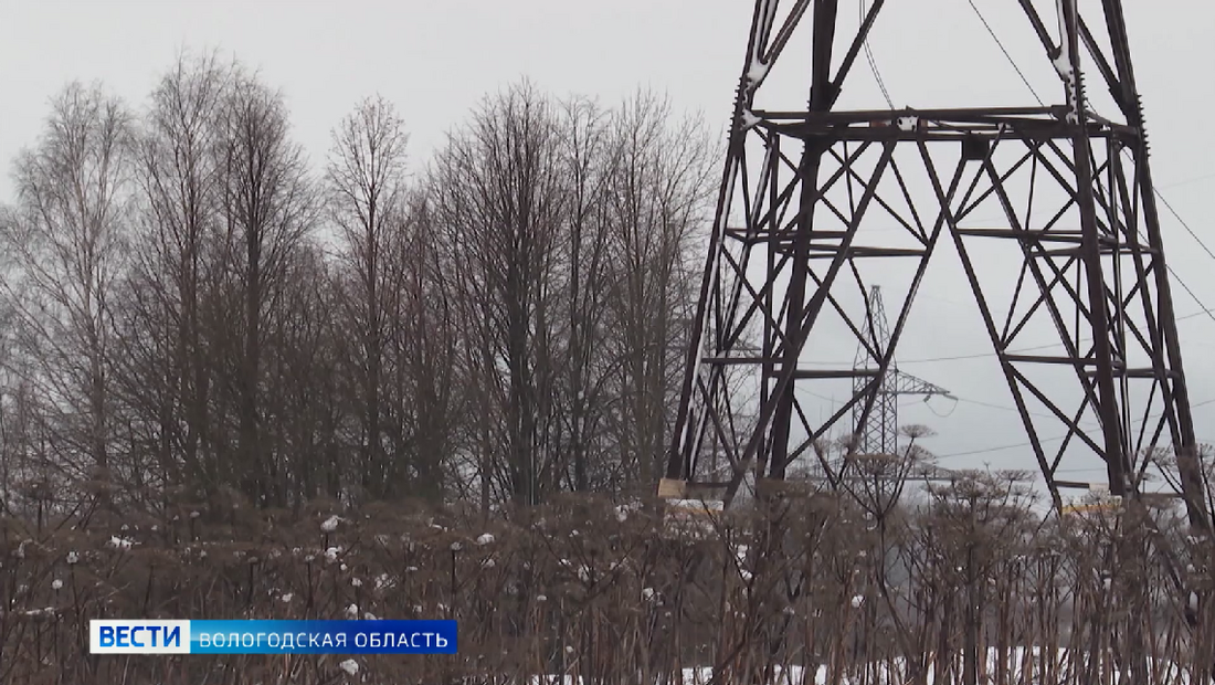Более 100  домов остались без электричества из-за непогоды в Шекснинском районе