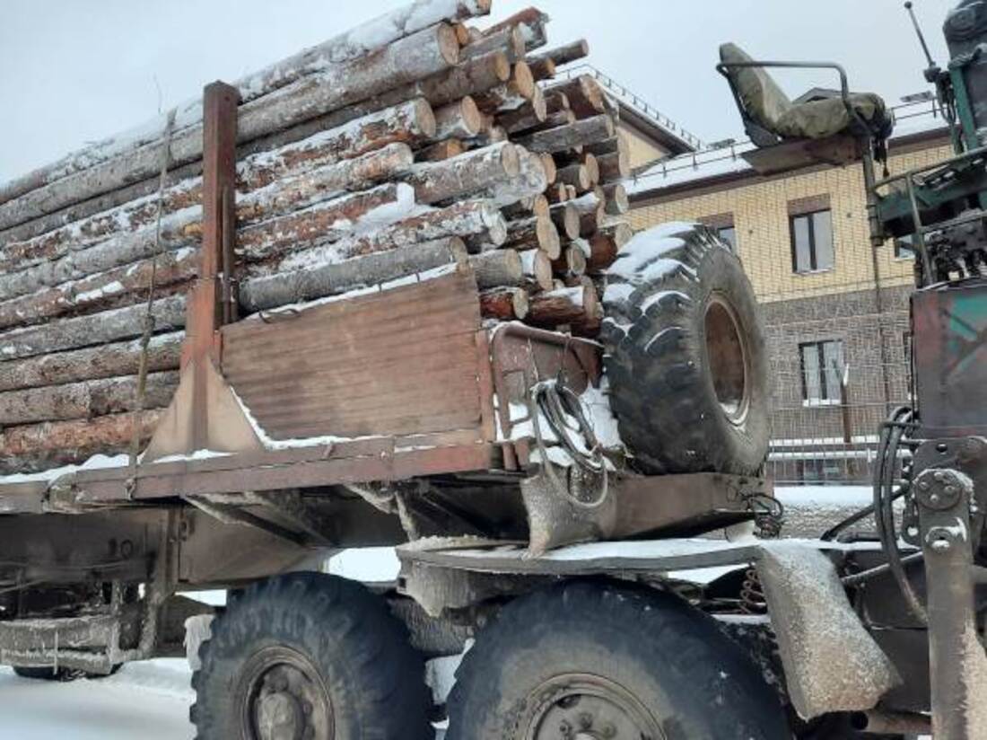 Крупный штраф за незаконную перевозку древесины грозит предпринимателю из Тотьмы