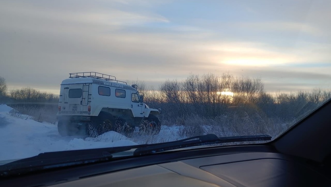 Два случая незаконной добычи лосей зафиксировали в Вологодской области