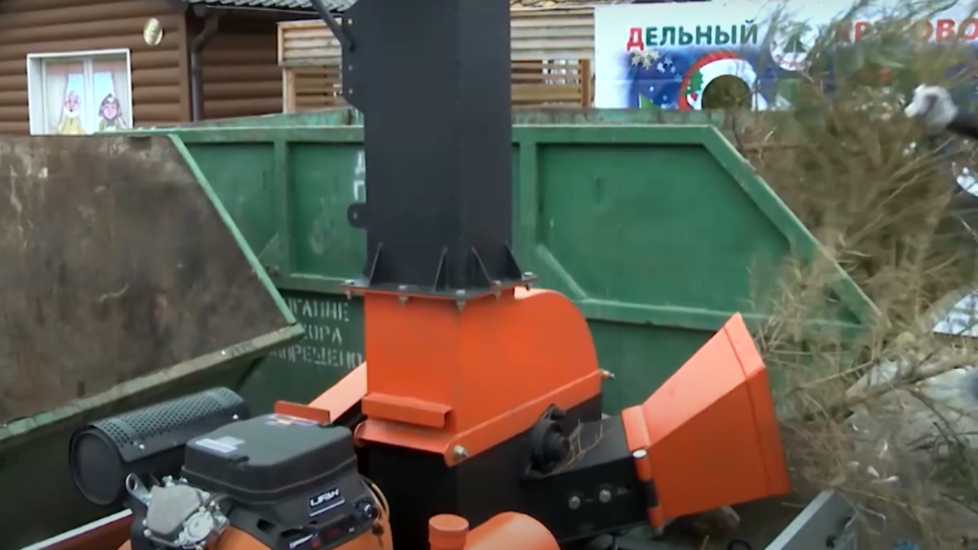Экологическая акция по переработке новогодних елей пройдёт в Вологде и Череповце