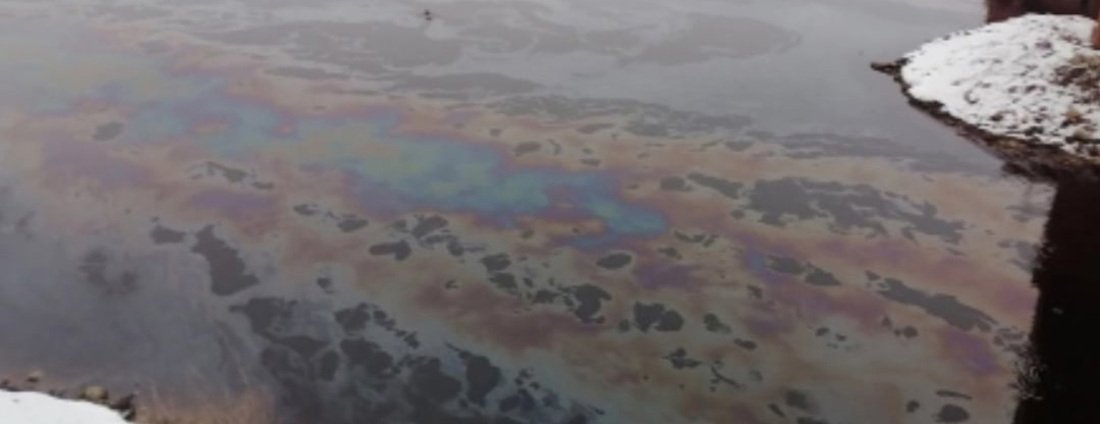 Удар по экологии: появление крупного масляного пятна на реке изучают в Вытегре
