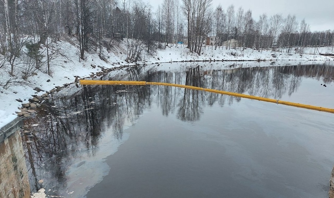 Специалисты возьмут пробы воды и почвы из реки в Вытегре