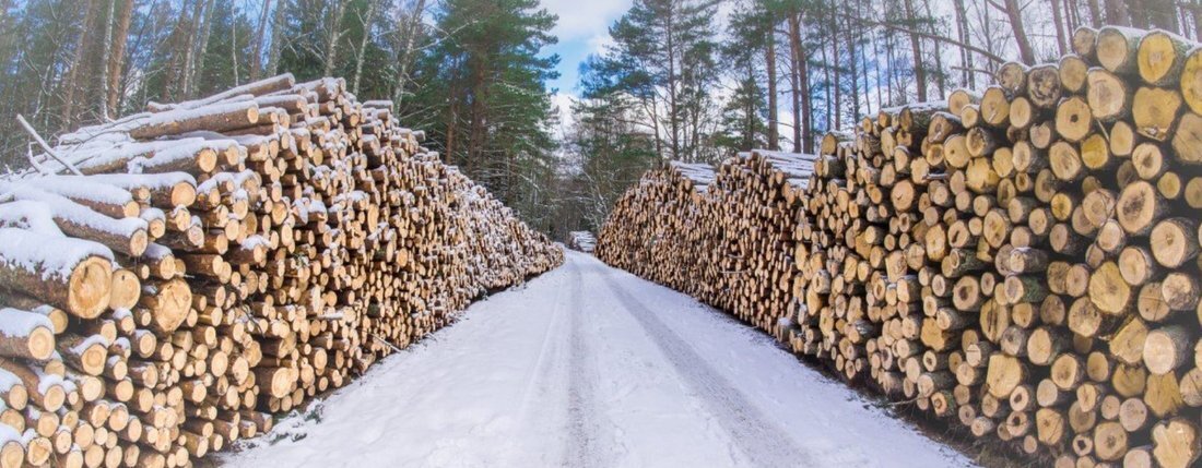 Вологодские лесопромышленники смогут компенсировать затраты на транспортировку продукции