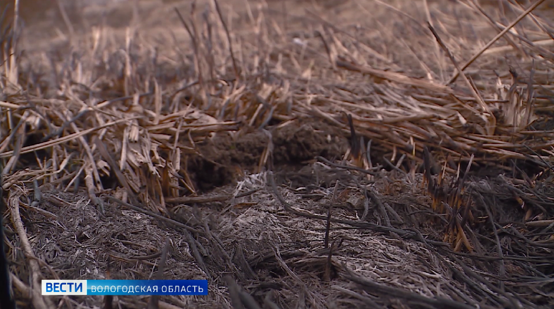 Подготовка к пожароопасному сезону продолжается в Вологодской области
