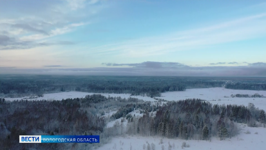 Сводный план тушения лесных пожаров на 2023 год подготовлен в Вологодской области