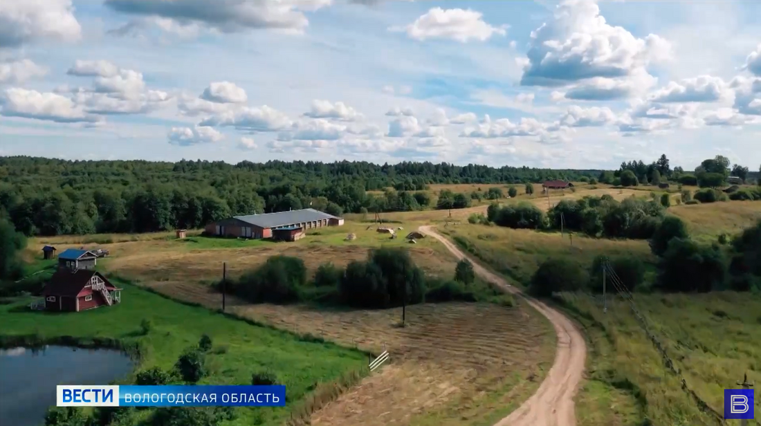 Три семейные фермы получат крупные гранты на развитие в Вологодской области