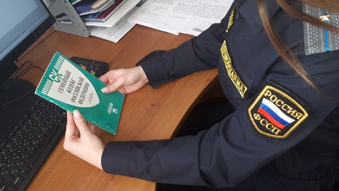 Вытегорский ЛДК оштрафовали из-за «забытого» судебного пристава