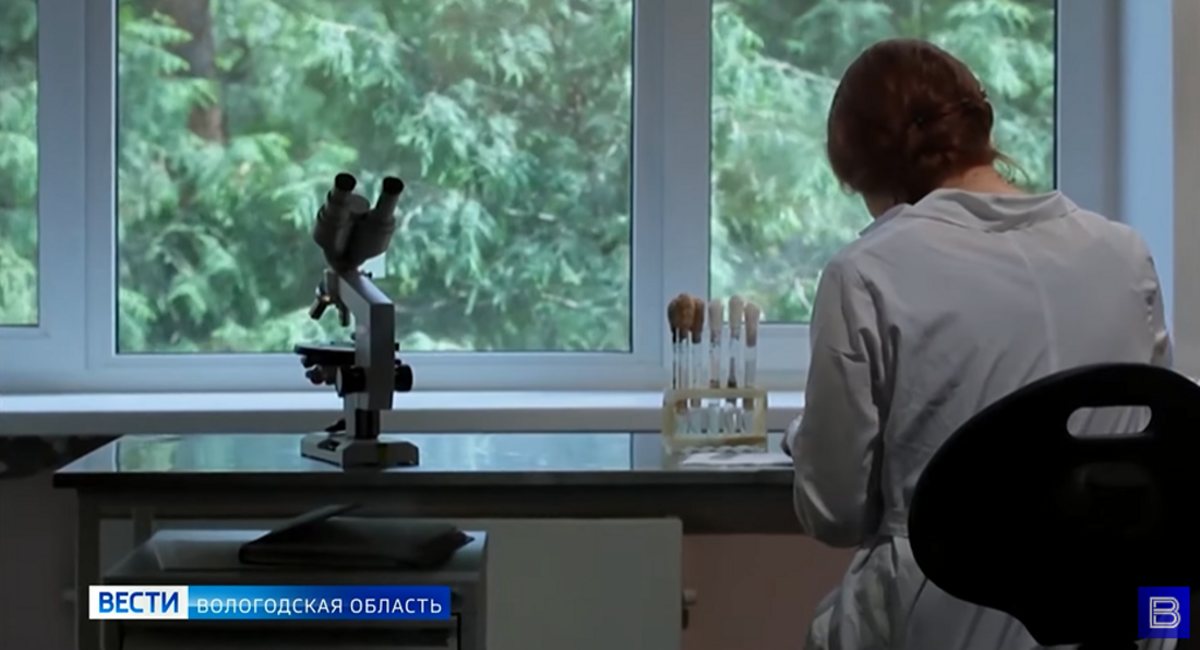 Первый случай заражения клещевым энцефалитом зарегистрирован в Череповце