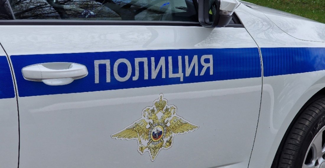В Вологде полицейским пришлось применять оружие при задержании пьяного дебошира с ножом