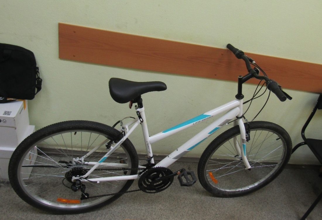 Вор вернул украденный у ребёнка велосипед в Бабаеве