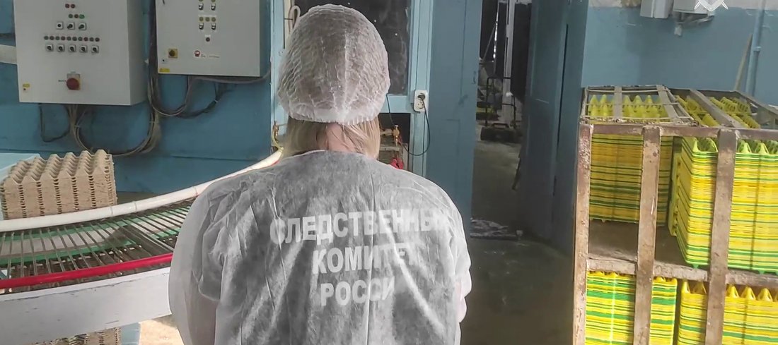 СК взялся за расследование вспышки птичьего гриппа в Череповецком районе