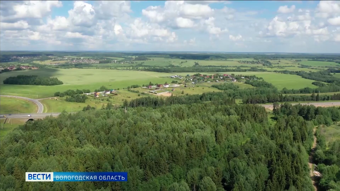 Лесопожарная обстановка в Вологодской области продолжает оставаться спокойной