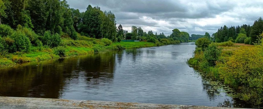 Молодой мужчина утонул в реке Тошня под Вологдой