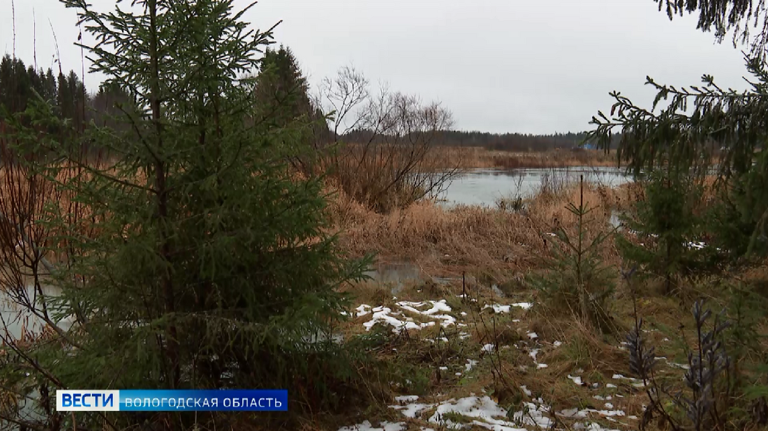 Ухудшение погодных условий ожидается в Вологодской области 